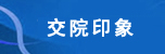 问鼎国际